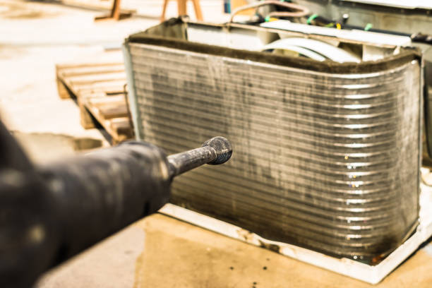 Best Air Duct Mold Removal  in Greenville, MI