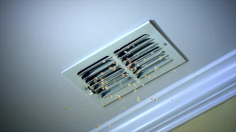 Best Professional Duct Cleaning Services  in Greenville, MI