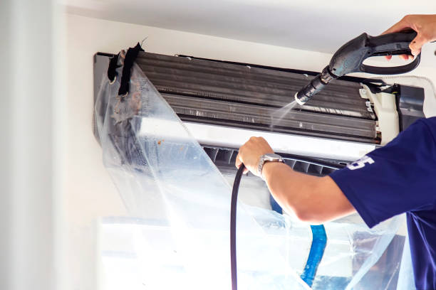 Best Air Duct Inspection  in Greenville, MI