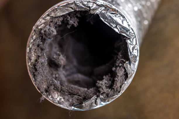 Best Emergency Air Duct Cleaning  in Greenville, MI